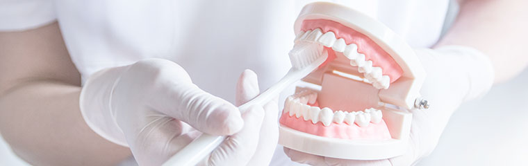 歯や矯正装置を衛生的に保ちやすい